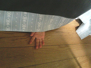 060805aa.jpg