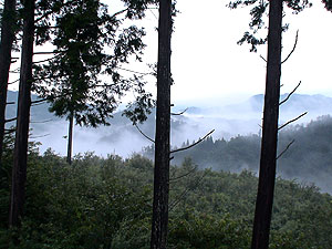 060814a.jpg