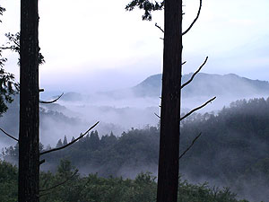 060814b.jpg