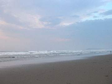 060816a.jpg