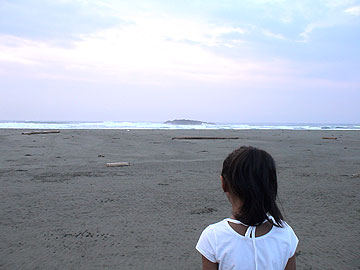 060816aa.jpg