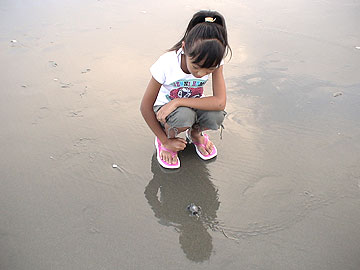 060816c.jpg