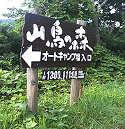 060819d.jpg