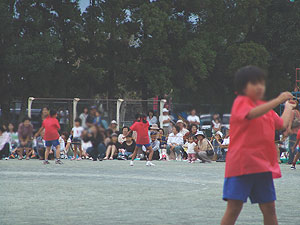 061001ee.jpg