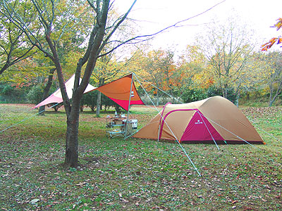 061104aaa.jpg