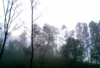 070102-(3).jpg