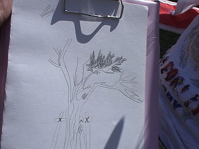 070429-(3).jpg