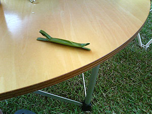 070813.jpg