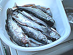 070815-(2).jpg