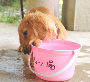 080504-(64).jpg