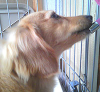 080607-(11).jpg
