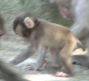 080802-(35).jpg