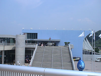 080802-(6).jpg