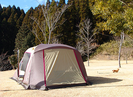 081228-(12).jpg