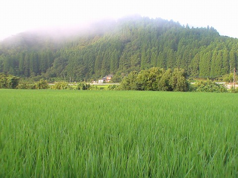 b-080814 (2).jpg