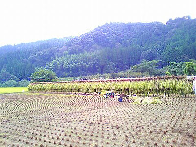 b-081004-(10).jpg
