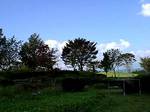 050929-6.jpg