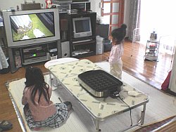 060320a.JPG