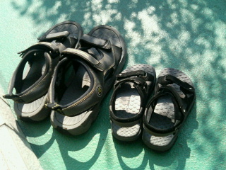 200608151001000.jpg