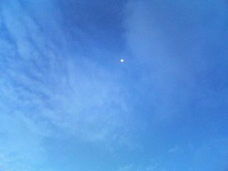 200608170530000.jpg
